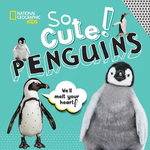 So Cute! Penguins - Hardcover