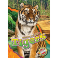 Tigers - Library Binding