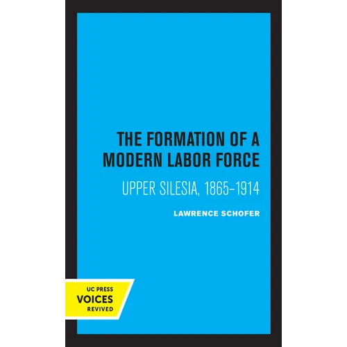 The Formation of a Modern Labor Force: Upper Silesia, 1865-1914 - Paperback