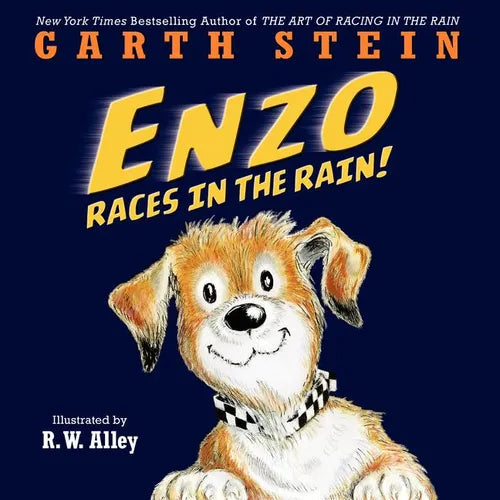 Enzo Races in the Rain! - Hardcover