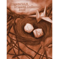 Origami Collection 2008 - Paperback