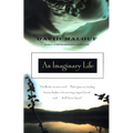 An Imaginary Life - Paperback