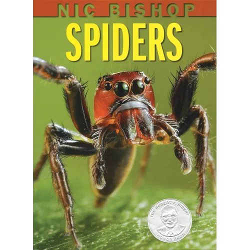 Nic Bishop: Spiders - Hardcover
