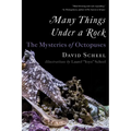 Many Things Under a Rock: The Mysteries of Octopuses - Paperback