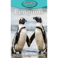 Penguins - Hardcover