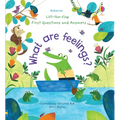 First Questions and Answers: What Are Feelings? - Board Book