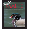 Wild Maine: Discoveries of a Wildlife Photographer - Paperback