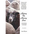 Healing the Hurting Soul: Revised Edition - Paperback