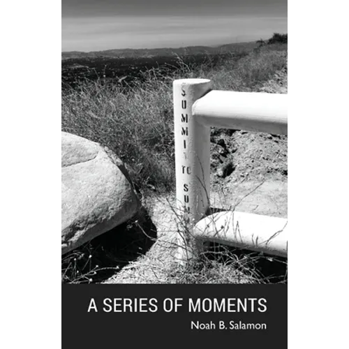 A Series of Moments - Paperback
