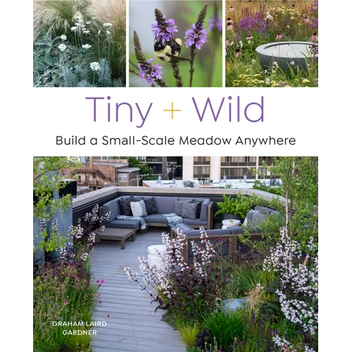 Tiny and Wild: Build a Small-Scale Meadow Anywhere - Paperback