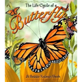Butterfly - Paperback