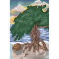 Aruba Vacation With Aruba Joe - Paperback