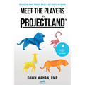 Meet the Players in Projectland: Decide the Right Project Roles & Get People On Board - Paperback
