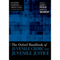 The Oxford Handbook of Juvenile Crime and Juvenile Justice - Paperback