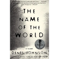 The Name of the World - Paperback