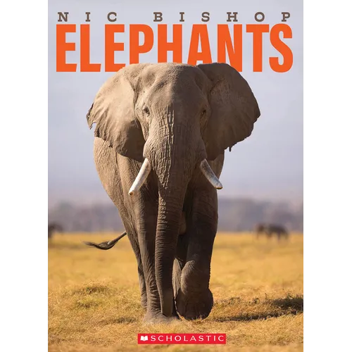 Nic Bishop Elephants - Hardcover