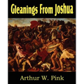 Gleanings from Joshua - Paperback