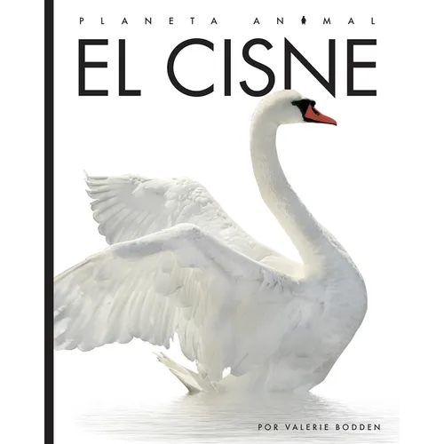 El Cisne - Paperback