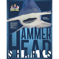 Hammerhead Sharks - Paperback
