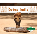 Cobra India (Indian Cobra) - Library Binding