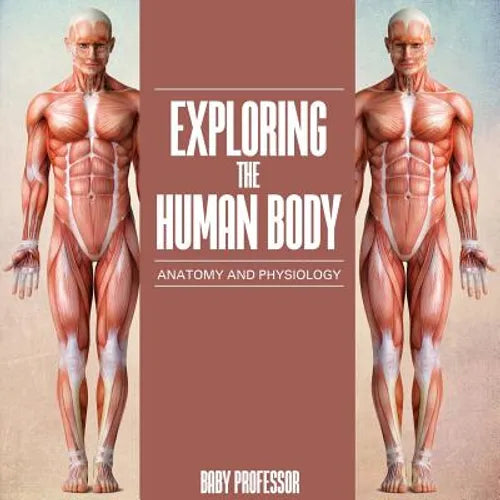 Exploring the Human Body Anatomy and Physiology - Paperback