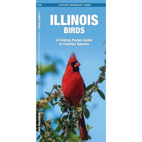 Illinois Birds: An Introduction to Familiar Species