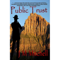Public Trust - Paperback