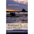 Radiance of His Glory - Prayers for the Church: Years A, B and C - Paperback