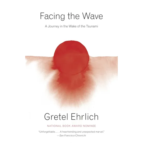 Facing the Wave: A Journey in the Wake of the Tsunami - Paperback