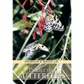 Protect the Butterflies - Hardcover