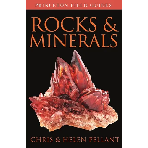 Rocks and Minerals - Paperback