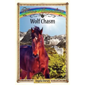 Wolf Chasm: Sometimes Horses Need a Little Magic - Paperback