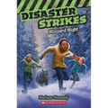Blizzard Night (Disaster Strikes #3): Volume 3 - Paperback