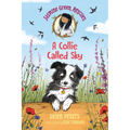 Jasmine Green Rescues: A Collie Called Sky - Hardcover