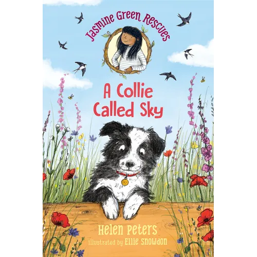 Jasmine Green Rescues: A Collie Called Sky - Hardcover