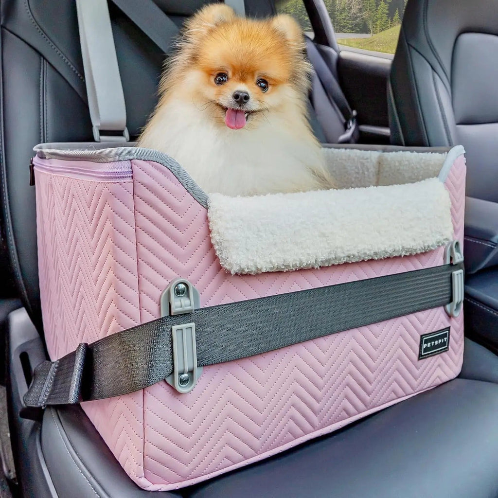 PETSFIT Small Dog Booster Car Seat with Safety Buckles & Tether, Foldable