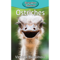 Ostriches - Hardcover