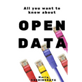 Open Data: All You Want To Know About Open Data - Paperback