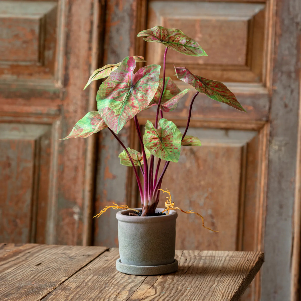 Faux Potted Caladium Plant