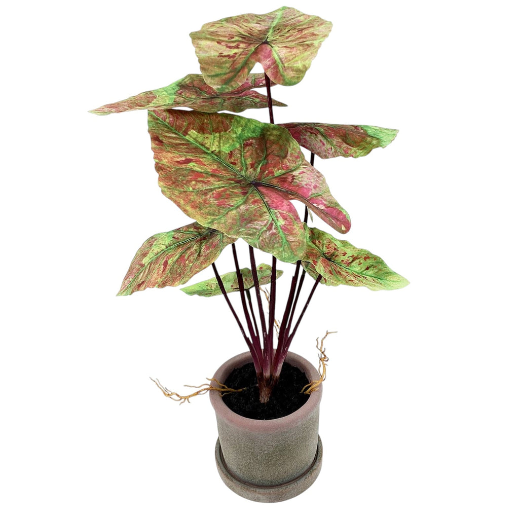 Faux Potted Caladium Plant