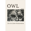 Owl - Paperback