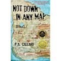 Not Down in Any Map: Stories - Paperback
