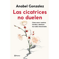 Las Cicatrices No Duelen: Como Sanar Nuestras Heridas Y Deshacer Los Nudos Emocionales / Wounds Don't Hurt - Paperback
