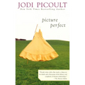 Picture Perfect - Paperback