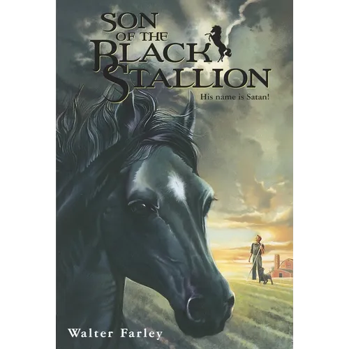 Son of the Black Stallion - Paperback