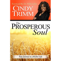 The Prosperous Soul: Your Journey to a Richer Life - Paperback