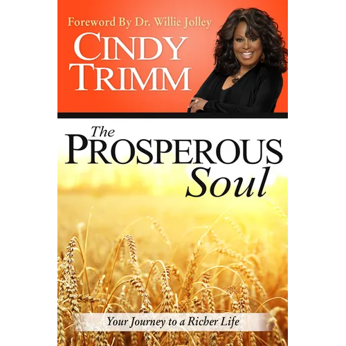 The Prosperous Soul: Your Journey to a Richer Life - Paperback
