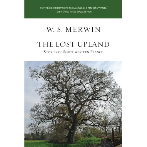 The Lost Upland: Stories of Southwestern France - Paperback
