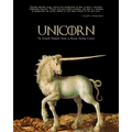 Unicorn - The Startup Founder's Guide to Raising Venture Capital - Paperback