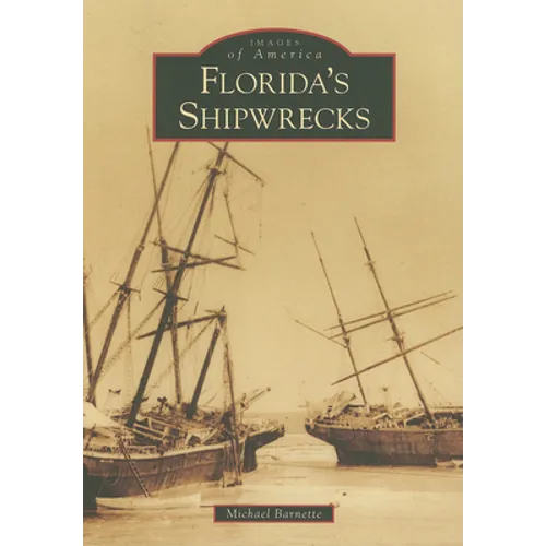 Florida's Shipwrecks - Paperback